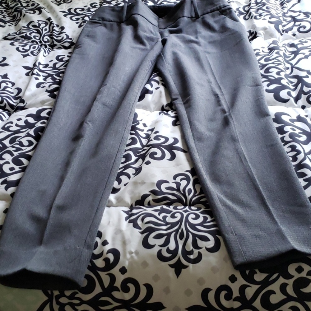 The Limited Pant